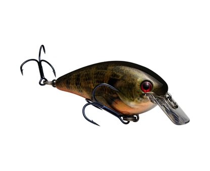 Strike King KVD Squarebill 1.5 Crankbait