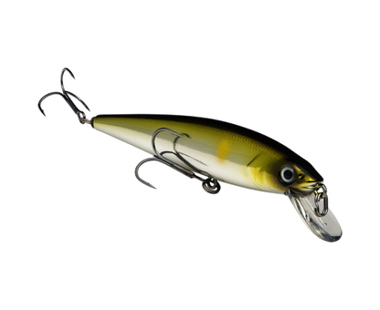 Strike King KVD 300 Jerkabit