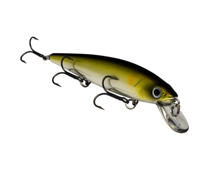 Strike King KVD 300 Jerkabit