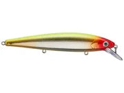 Strike King KVD 300 Jerkabit