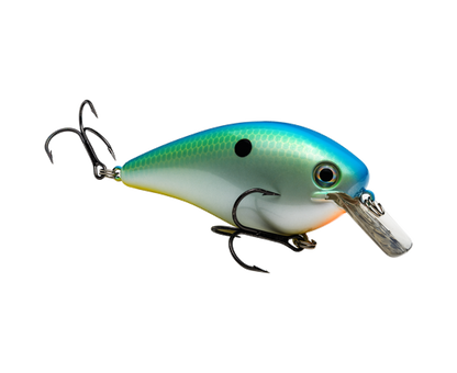Strike King KVD Squarebill 4.0 Magnum Crankbait