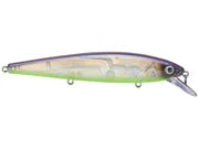 Strike King KVD 300 Jerkabit