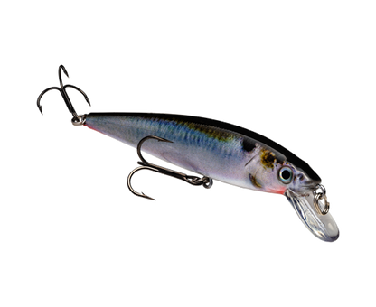Strike King KVD 300 Jerkabit
