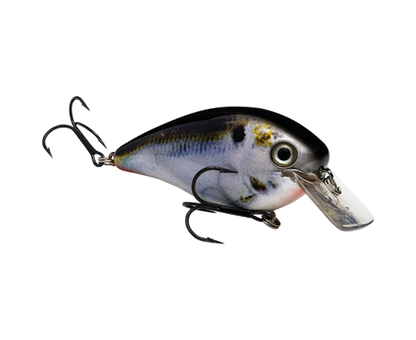 Strike King KVD Squarebill 4.0 Magnum Crankbait