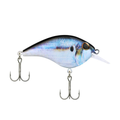 Berkley Frittside 5