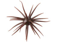 Hideup Coike Fullcast Creature Bait