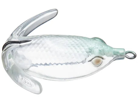 Deps Basiriski Frog