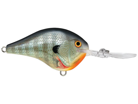 Rapala DT14 Series Crankbaits