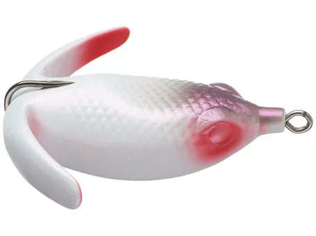 Deps Basiriski Frog