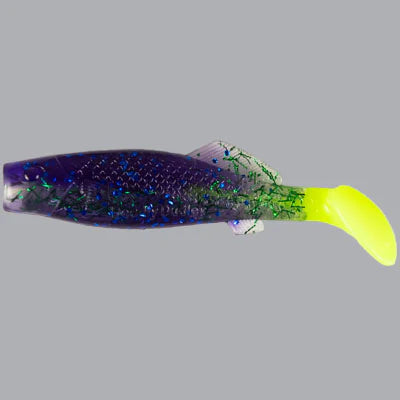 Deadly Dudley Bay Chovey